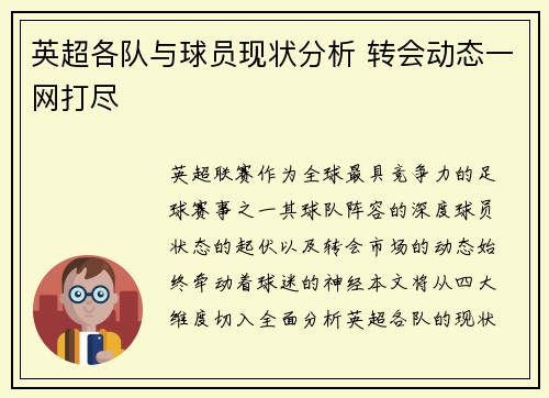 英超各队与球员现状分析 转会动态一网打尽